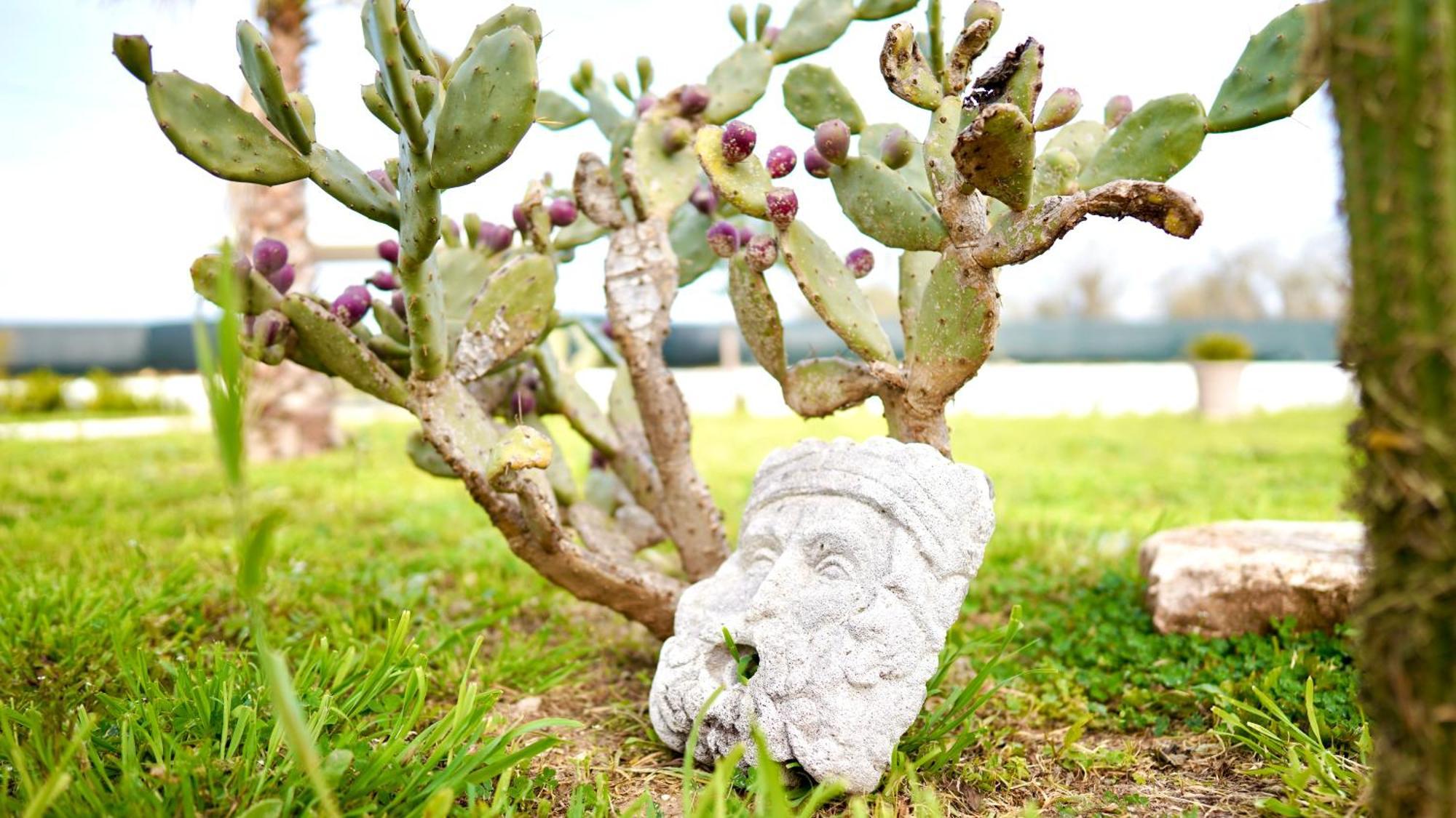 Villa Mia San Ligorio Esterno foto