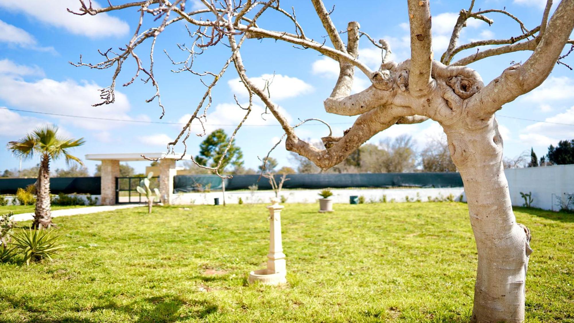 Villa Mia San Ligorio Esterno foto